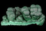 Botryoidal Malachite Crystal Formation - Congo #67461-1